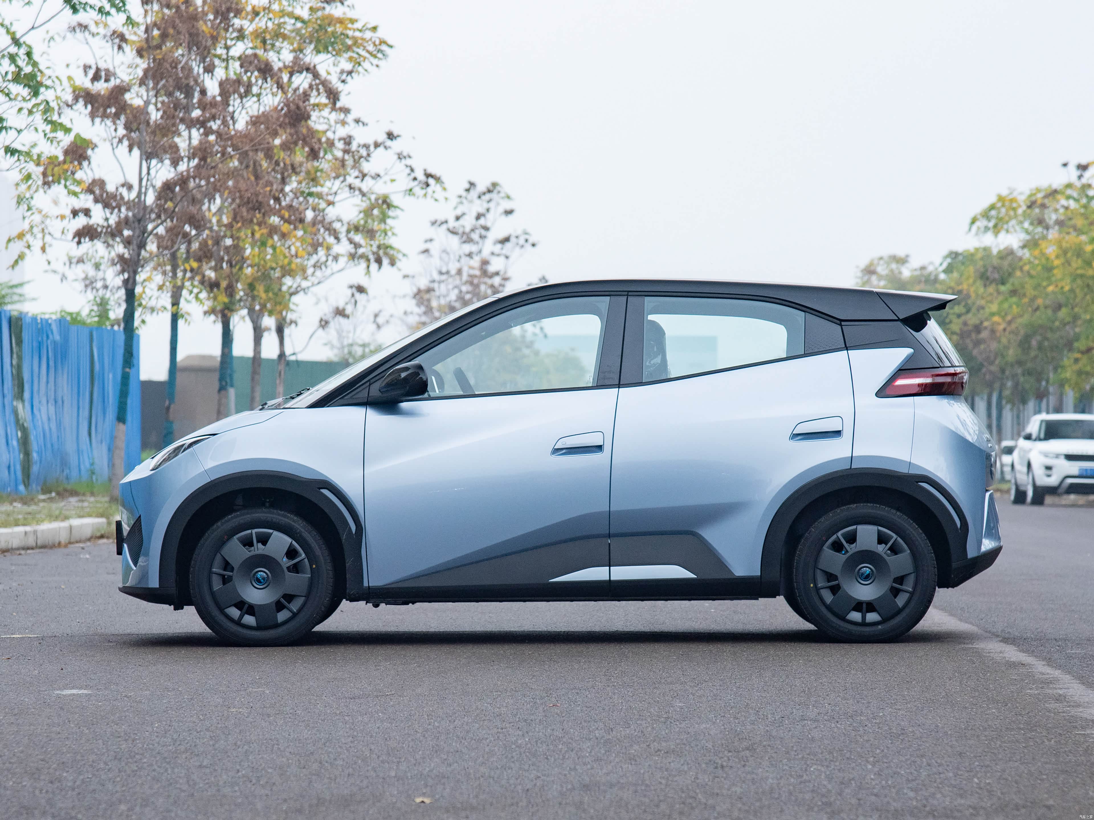 海鸥 2026款 基本型